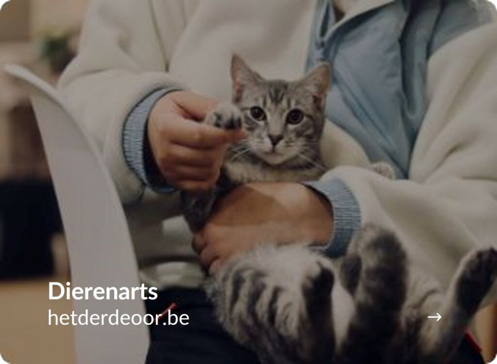 Portfolio · Het Derde Oor